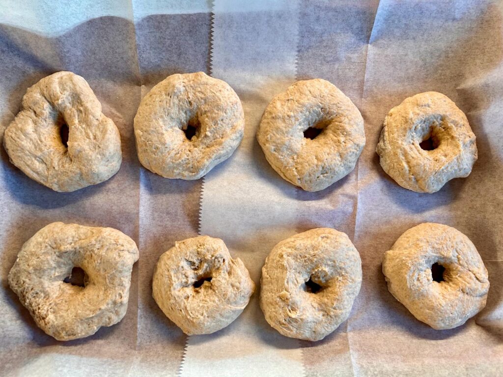 eight peices of dough shaped into a bagel and placed on a baking sheet lined with parchment paper.