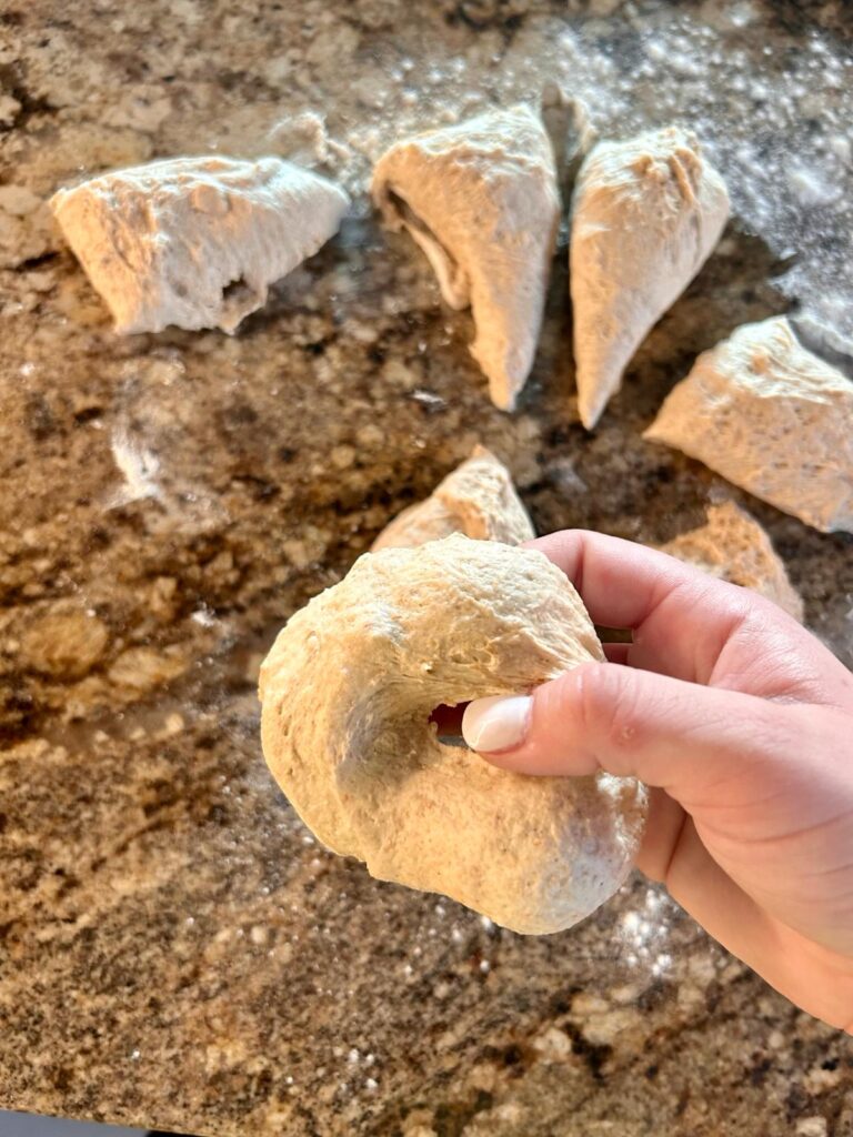 Sourdough bagel dough being cut so size and shaped.