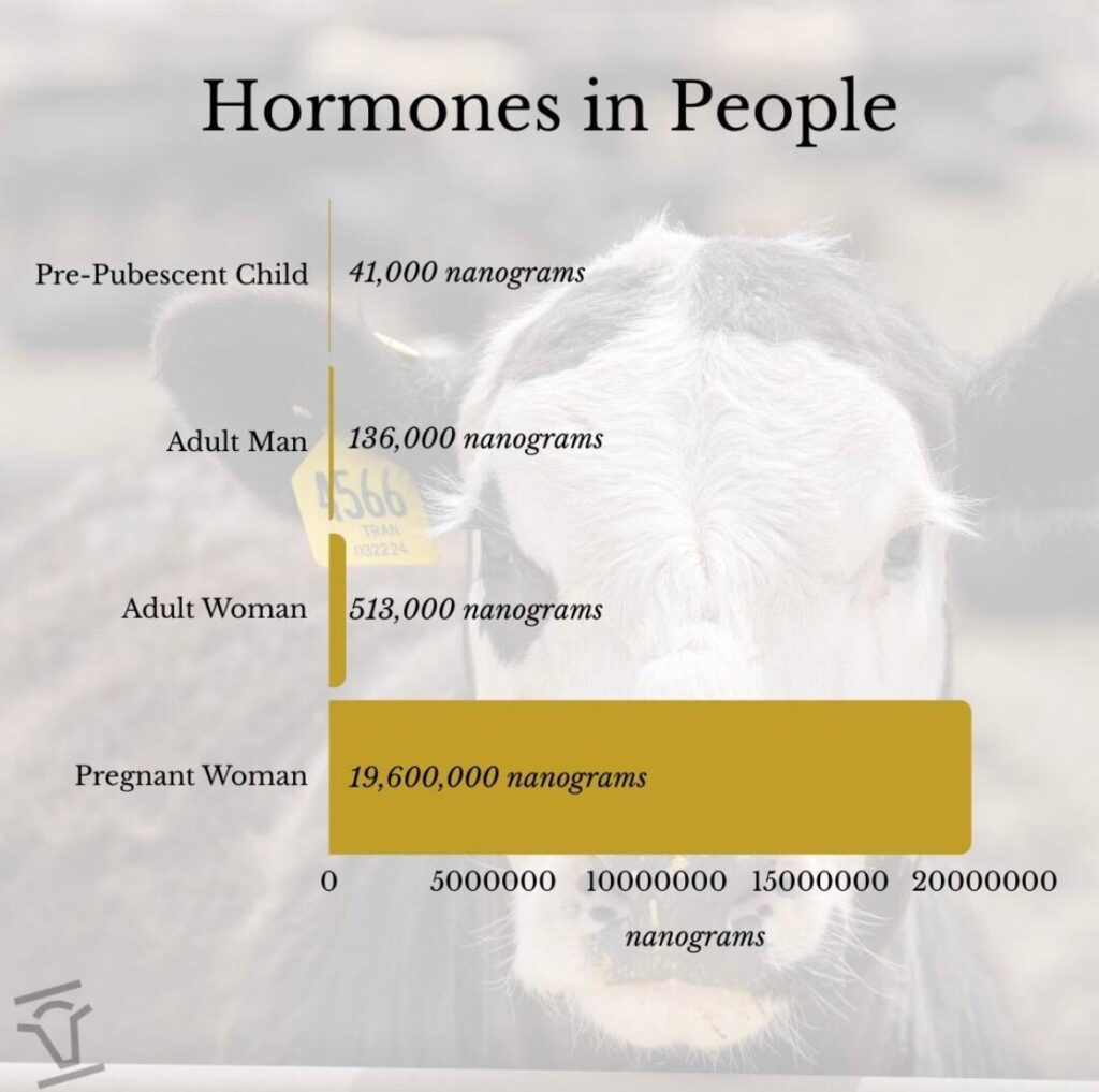 This is a graph showing the amount of hormones present in humans during diefferent stages of life.